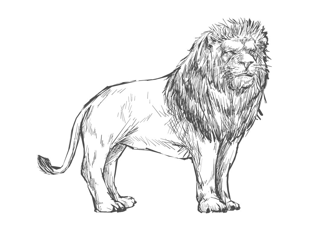 león grande dibujo en papel
