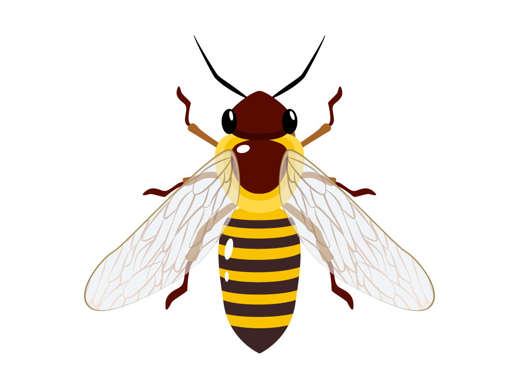 Bee flat