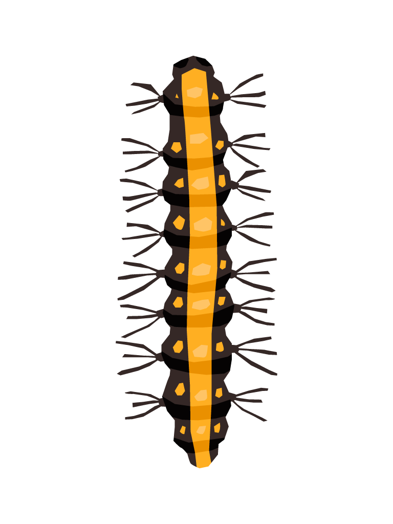 caterpillar yellow flat