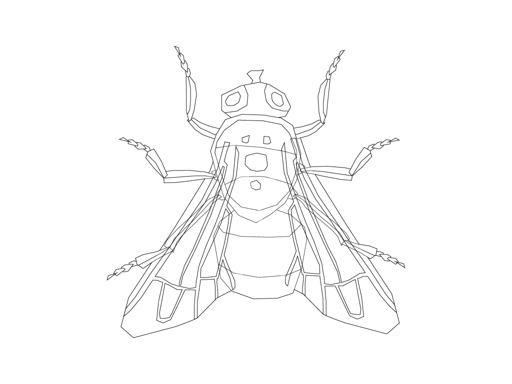 drawing of a fly