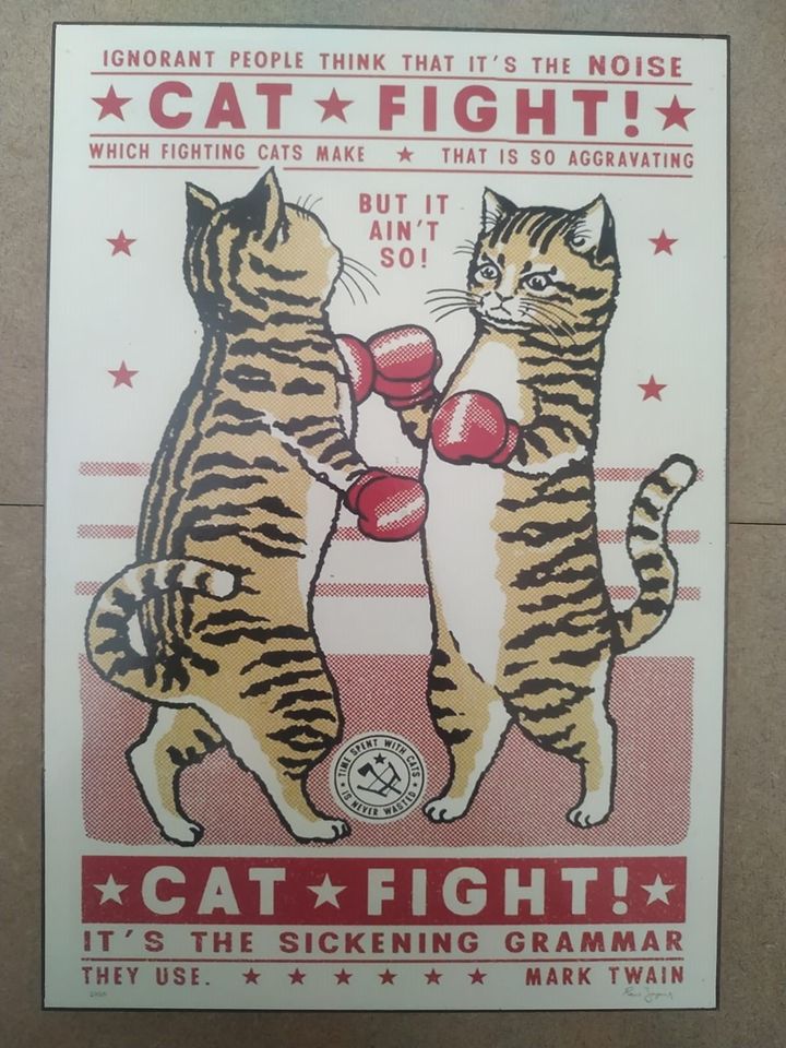cat box poster